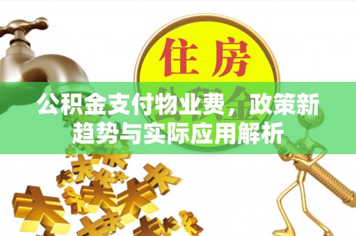 桃园公积金支付物业费，政策新趋势与实际应用解析