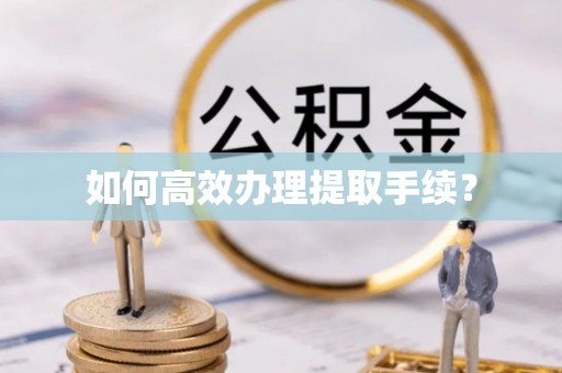 桃园如何高效办理提取手续？