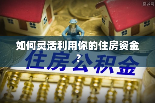 桃园如何灵活利用你的住房资金？