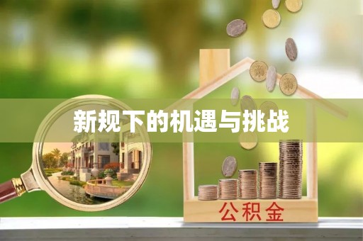 桃园新规下的机遇与挑战