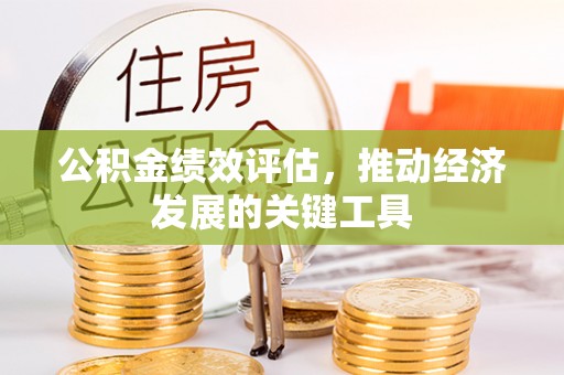 桃园公积金绩效评估，推动经济发展的关键工具
