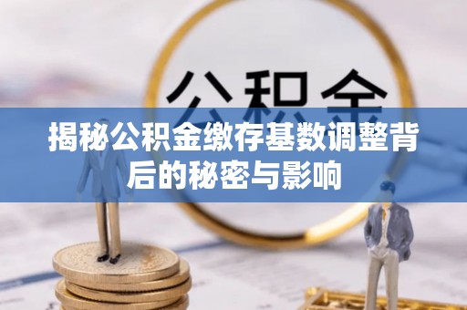 桃园揭秘公积金缴存基数调整背后的秘密与影响