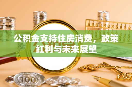 桃园公积金支持住房消费，政策红利与未来展望