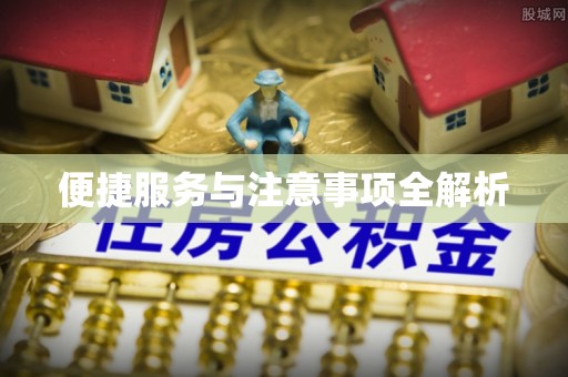 桃园便捷服务与注意事项全解析