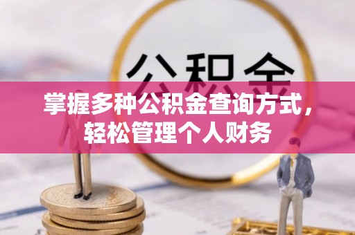 桃园掌握多种公积金查询方式，轻松管理个人财务