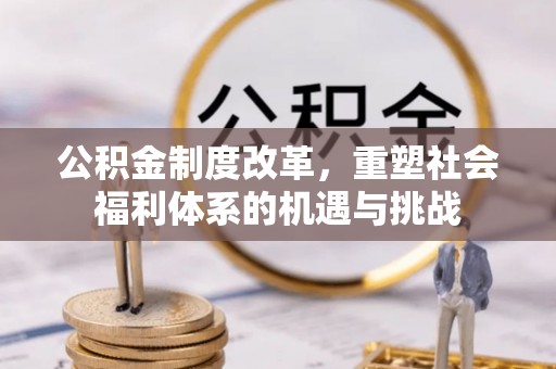 桃园公积金制度改革，重塑社会福利体系的机遇与挑战