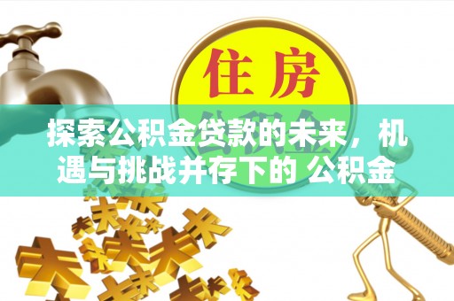 桃园探索公积金贷款的未来，机遇与挑战并存下的 公积金贷款风险防控