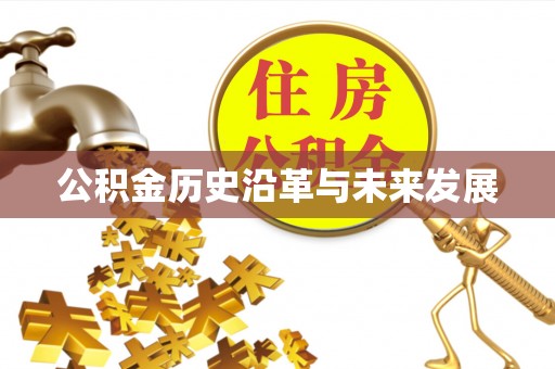 桃园公积金历史沿革与未来发展