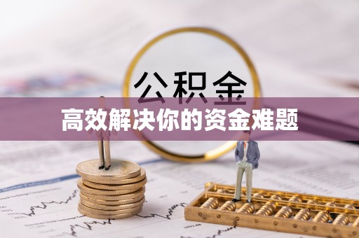 桃园高效解决你的资金难题