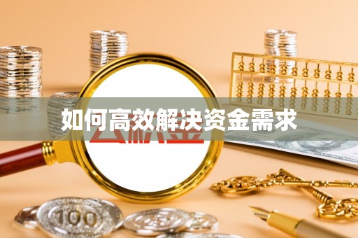 桃园如何高效解决资金需求