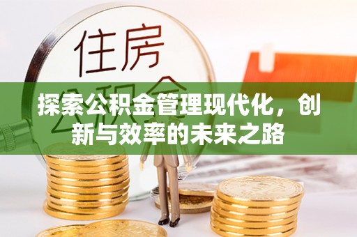桃园探索公积金管理现代化，创新与效率的未来之路