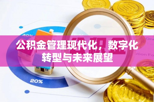 桃园公积金管理现代化，数字化转型与未来展望