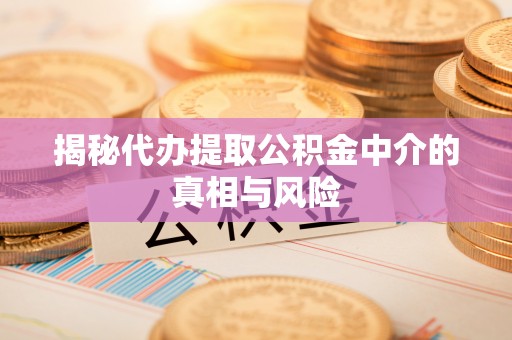 桃园揭秘代办提取公积金中介的真相与风险