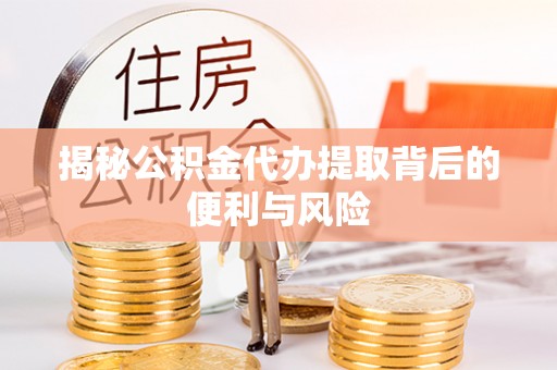 桃园揭秘公积金代办提取背后的便利与风险