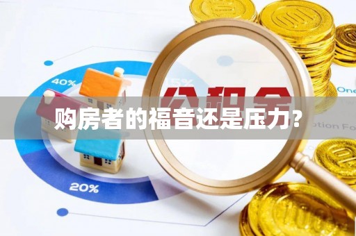 桃园购房者的福音还是压力？