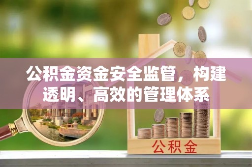 桃园公积金资金安全监管，构建透明、高效的管理体系
