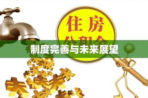 桃园制度完善与未来展望