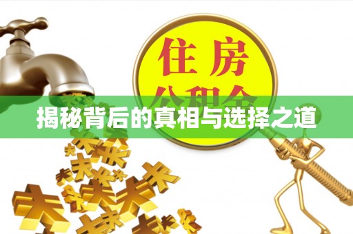 桃园揭秘背后的真相与选择之道