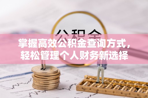 桃园掌握高效公积金查询方式，轻松管理个人财务新选择
