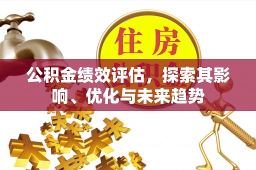 桃园公积金绩效评估，探索其影响、优化与未来趋势