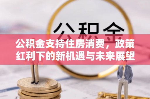 桃园公积金支持住房消费，政策红利下的新机遇与未来展望