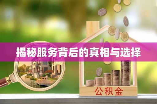 桃园揭秘服务背后的真相与选择