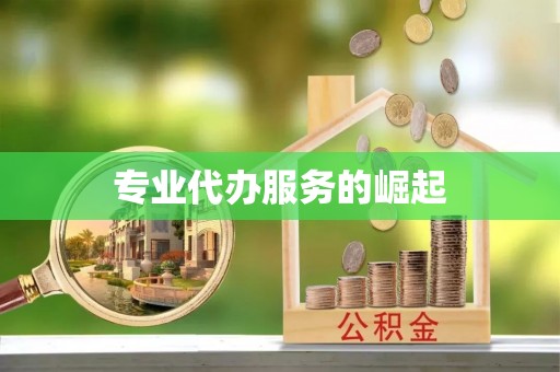 桃园专业代办服务的崛起