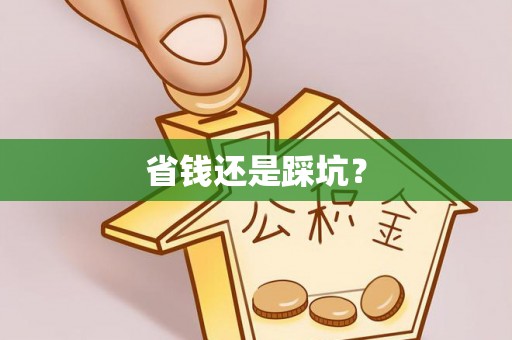 桃园省钱还是踩坑？