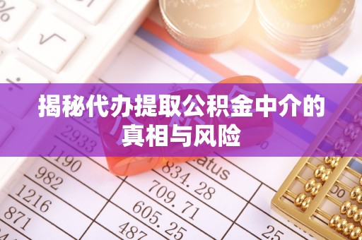 桃园揭秘代办提取公积金中介的真相与风险