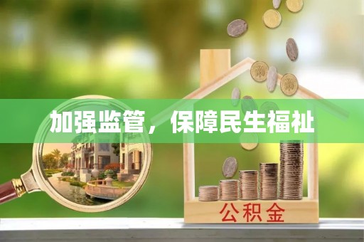 桃园加强监管，保障民生福祉