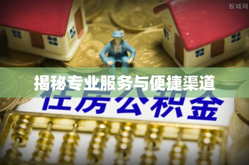 桃园揭秘专业服务与便捷渠道