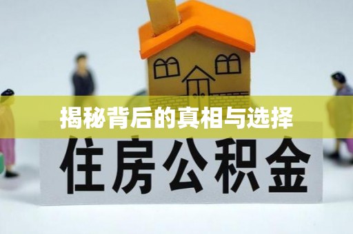 桃园揭秘背后的真相与选择