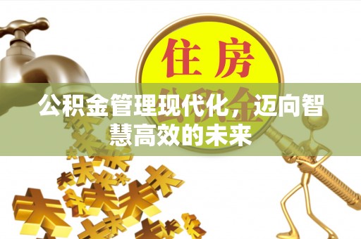 桃园公积金管理现代化，迈向智慧高效的未来