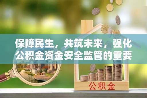 桃园保障民生，共筑未来，强化公积金资金安全监管的重要性
