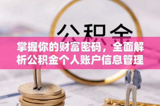 桃园掌握你的财富密码，全面解析公积金个人账户信息管理