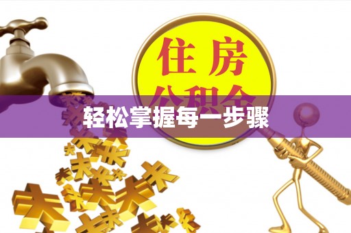 桃园轻松掌握每一步骤