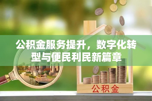 桃园公积金服务提升，数字化转型与便民利民新篇章