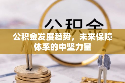 桃园公积金发展趋势，未来保障体系的中坚力量