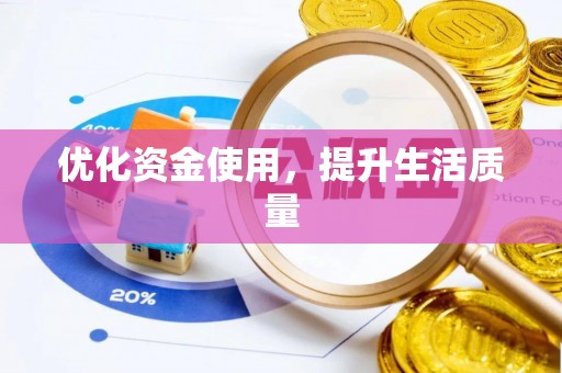 桃园优化资金使用，提升生活质量
