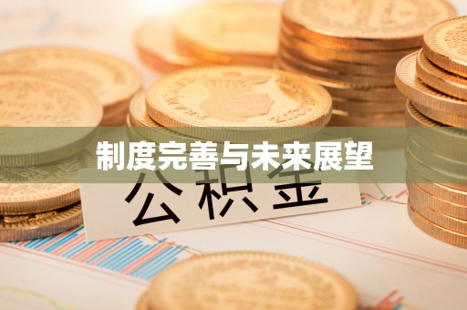 桃园制度完善与未来展望