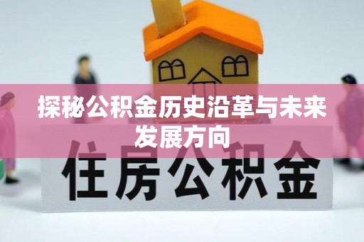 桃园探秘公积金历史沿革与未来发展方向