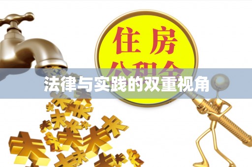 桃园法律与实践的双重视角