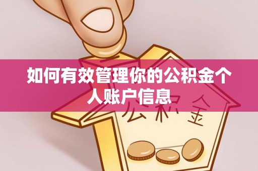 桃园如何有效管理你的公积金个人账户信息