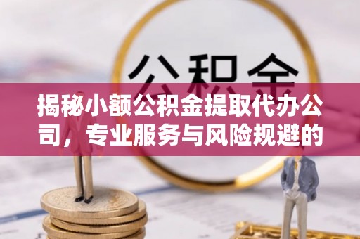 桃园揭秘小额公积金提取代办公司，专业服务与风险规避的平衡艺术