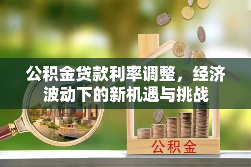 桃园公积金贷款利率调整，经济波动下的新机遇与挑战