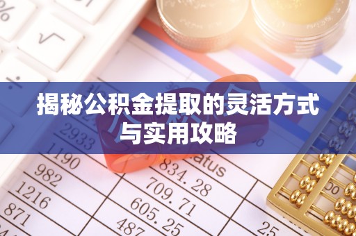 桃园揭秘公积金提取的灵活方式与实用攻略