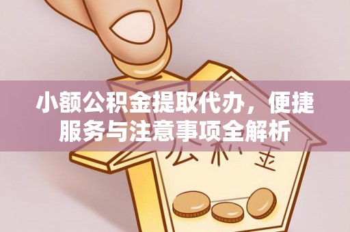 桃园小额公积金提取代办，便捷服务与注意事项全解析