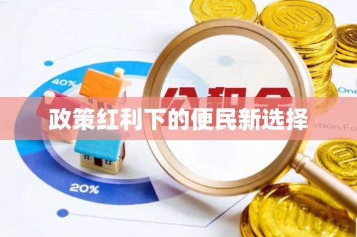 桃园政策红利下的便民新选择