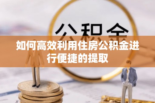 桃园如何高效利用住房公积金进行便捷的提取