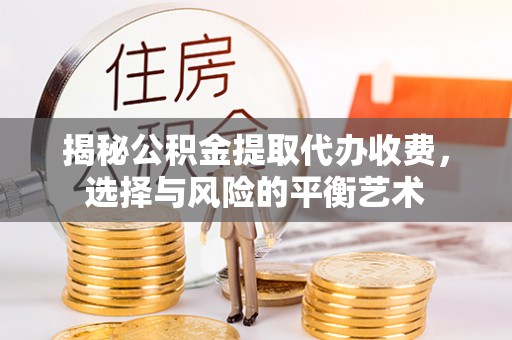 桃园揭秘公积金提取代办收费，选择与风险的平衡艺术